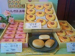 サンプル写真
