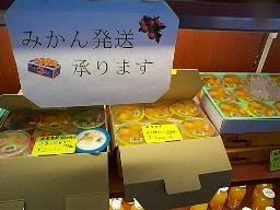 サンプル写真